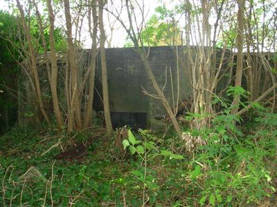 vooraanzicht bunker B17 te Melsen
